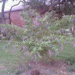 EXIF_JPEG_T422 EXIF_JPEG_T422