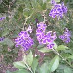 EXIF_JPEG_T422 EXIF_JPEG_T422