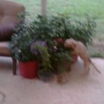 EXIF_JPEG_T422 EXIF_JPEG_T422