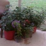 EXIF_JPEG_T422 EXIF_JPEG_T422