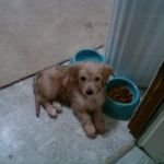 EXIF_JPEG_T422 EXIF_JPEG_T422