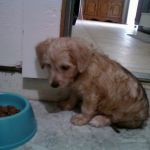 EXIF_JPEG_T422 EXIF_JPEG_T422