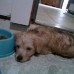 EXIF_JPEG_T422 EXIF_JPEG_T422