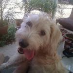 EXIF_JPEG_T422 EXIF_JPEG_T422