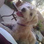 EXIF_JPEG_T422 EXIF_JPEG_T422