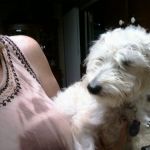 EXIF_JPEG_T422 EXIF_JPEG_T422