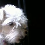 EXIF_JPEG_T422 EXIF_JPEG_T422