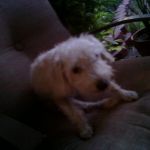 EXIF_JPEG_T422 EXIF_JPEG_T422