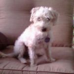 EXIF_JPEG_T422 EXIF_JPEG_T422