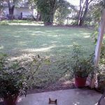 EXIF_JPEG_T422 EXIF_JPEG_T422