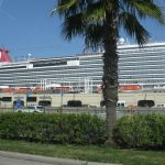 photo-mar-16-11-34-17-pm