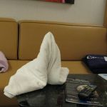 photo-mar-17-9-14-53-am