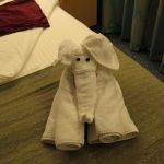 photo-mar-18-8-13-19-am