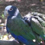 photo-mar-19-11-11-04-pm