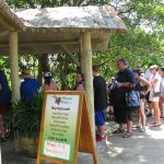 photo-mar-19-11-45-19-pm