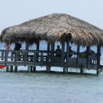 photo-mar-19-11-55-34-pm