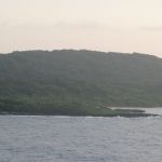 photo-mar-19-7-12-44-pm