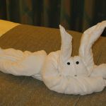 photo-mar-19-7-59-53-am