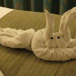 photo-mar-19-8-00-04-am