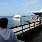 photo-mar-19-9-22-58-pm