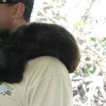 photo-mar-20-1-03-27-am