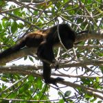 photo-mar-20-1-21-30-am