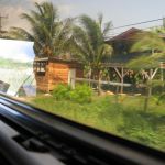 photo-mar-20-10-43-55-pm