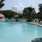 photo-mar-20-11-11-14-pm