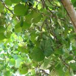 photo-mar-20-12-11-17-am