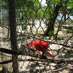 photo-mar-20-12-52-26-am