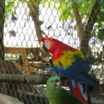 photo-mar-20-12-53-11-am