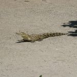 photo-mar-20-12-56-57-am