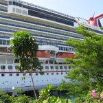 photo-mar-20-3-18-10-am