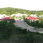 photo-mar-20-5-48-21-am