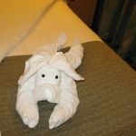 photo-mar-20-7-51-37-am