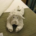 photo-mar-20-7-51-47-am