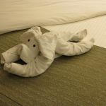 photo-mar-20-7-51-54-am