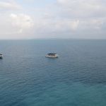 photo-mar-20-8-02-00-pm