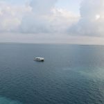 photo-mar-20-8-02-06-pm