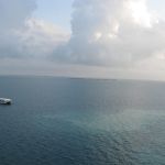 photo-mar-20-8-02-11-pm