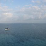 photo-mar-20-8-07-37-pm