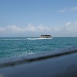 photo-mar-20-9-50-03-pm