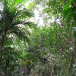 photo-mar-21-12-30-46-am