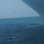 photo-mar-21-4-06-41-am