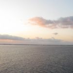 photo-mar-21-7-03-49-pm