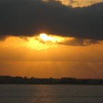 photo-mar-21-7-07-43-pm