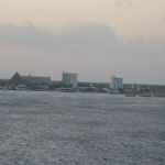 photo-mar-21-7-08-49-pm