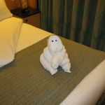 photo-mar-21-8-16-36-am