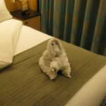 photo-mar-21-8-16-45-am