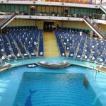 photo-mar-21-8-21-16-pm